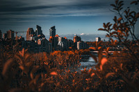 Autum