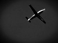 Soar