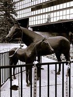 Horse Statue #2