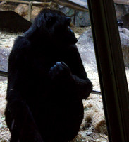 IMG_3078