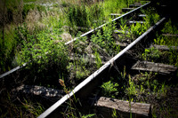 Old train tracks