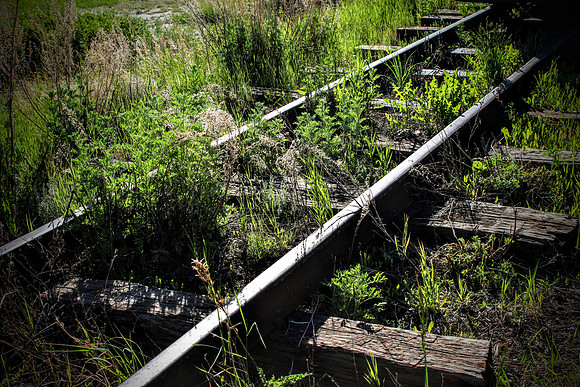 Old train tracks