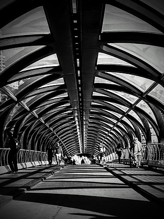 Peace Bridge #2
