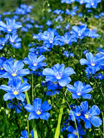 IMG_1829_Original