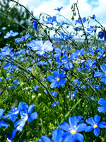 IMG_1826_Original